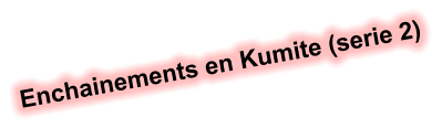 Enchainements en Kumite (serie 2)
